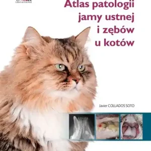 Zamów dziś Atlas patologii jamy ustnej i zębów u kotów