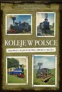 Koleje w Polsce. Parowozy, wąskotorówki i muzea Ostatnia szansa