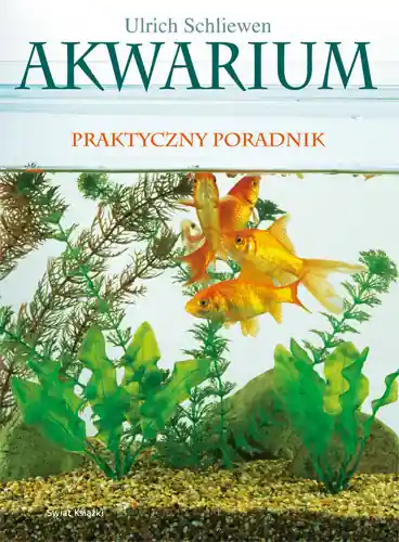 Akwarium Sprawdź teraz