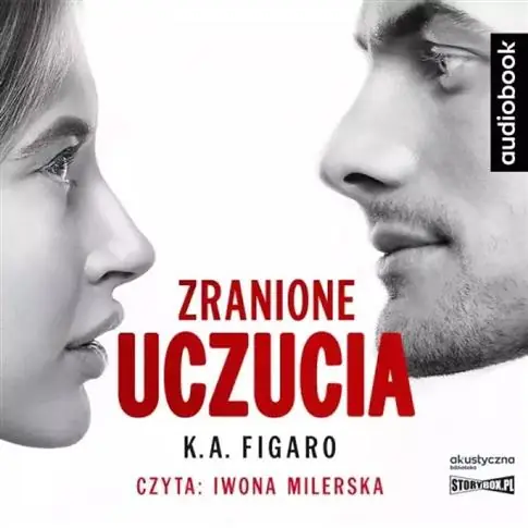 Zranione uczucia. Audiobook Ekspresowa dostawa