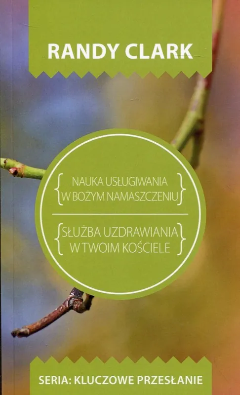 Kup teraz Nauka usługiwania w Bożym namaszczeniu Służba uzdrawiania w Twoim kościele